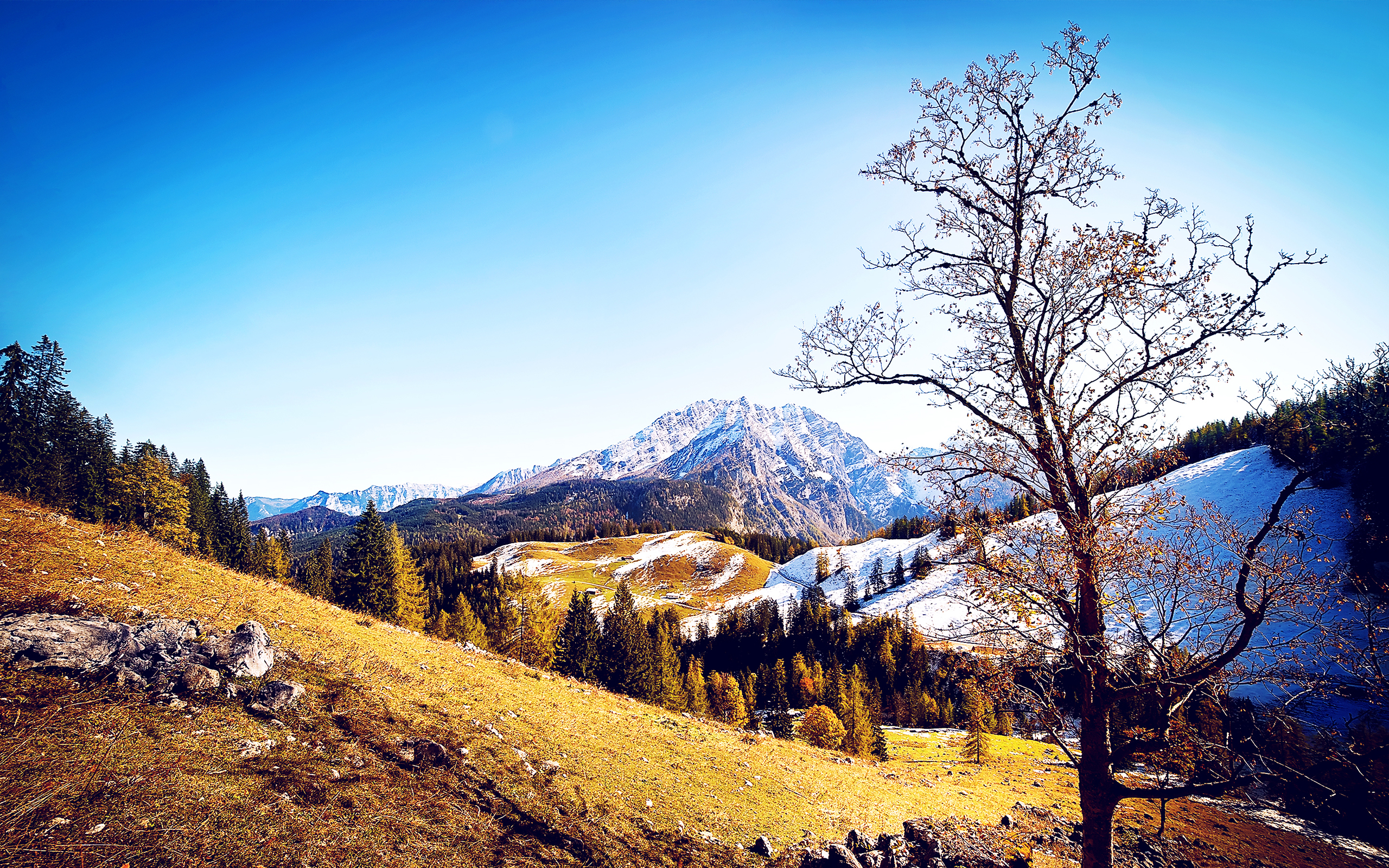 Mac Wallpapers MacTrast