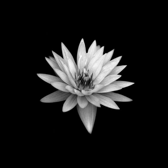 Black iPad Wallpapers 8 Black iPad Wallpapers 8