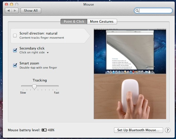 Mouse
