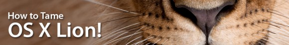 Tame Lion