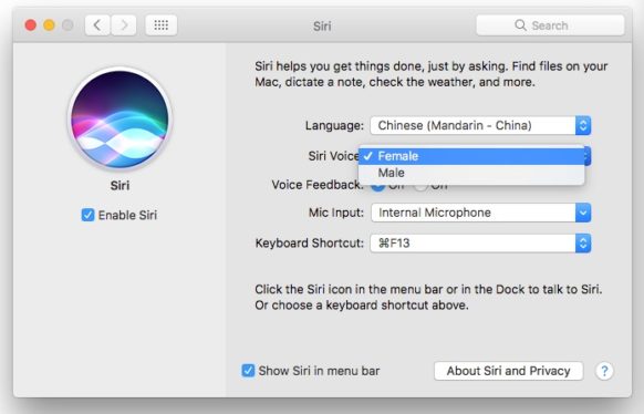 How to Change the Language, Gender, or Accent of Siri on Your Mac How to Change the Language, Gender, or Accent of Siri on Your Mac