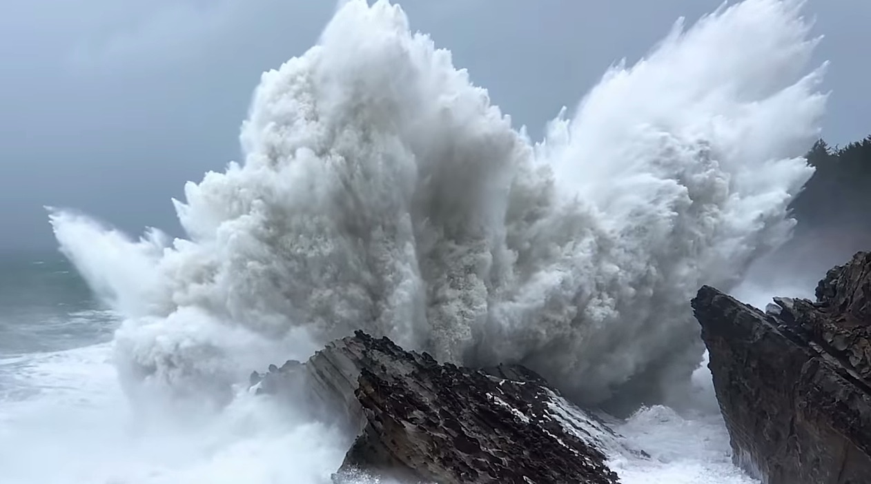 on iphone xs apple s new on iphone xs celebrates nature around the world on iphone xs apple s new on iphone xs celebrates nature around the world